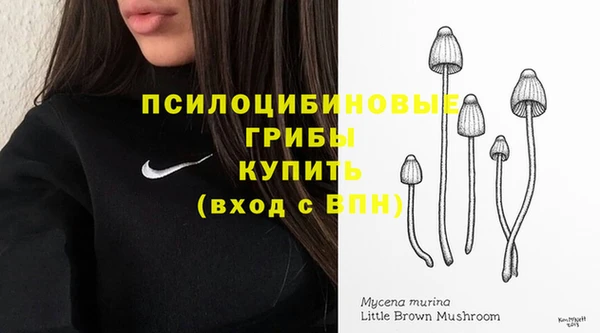 спиды Краснослободск